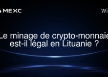 Le minage de crypto-monnaie est-il légal en Lituanie ?
