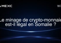 Le minage de crypto-monnaie est-il légal en Somalie ?