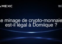 Le minage de crypto-monnaies est-il légal à Domiique ?