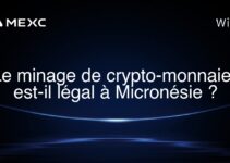 Le minage de crypto-monnaies est-il légal à Micronésie ?