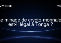 Le minage de crypto-monnaies est-il légal à Tonga ?