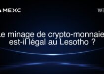Le minage de crypto-monnaies est-il légal au Lesotho ?