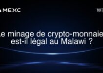 Le minage de crypto-monnaies est-il légal au Malawi ?