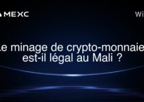 Le minage de crypto-monnaies est-il légal au Mali ?