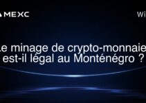 Le minage de crypto-monnaies est-il légal au Monténégro ?