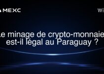 Le minage de crypto-monnaies est-il légal au Paraguay ?