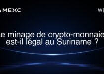 Le minage de crypto-monnaies est-il légal au Suriname ?