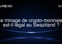 Le minage de crypto-monnaies est-il légal au Swaziland ?