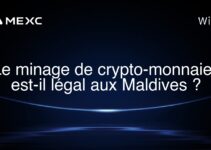 Le minage de crypto-monnaies est-il légal aux Maldives ?
