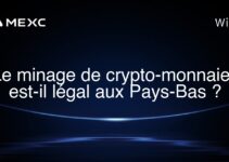 Le minage de crypto-monnaies est-il légal aux Pays-Bas ?