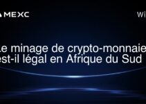 Le minage de crypto-monnaies est-il légal en Afrique du Sud ?