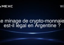 Le minage de crypto-monnaies est-il légal en Argentine ?