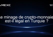 Le minage de crypto-monnaies est-il légal en Turquie ?