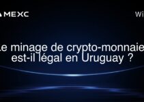 Le minage de crypto-monnaies est-il légal en Uruguay ?