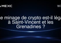 Le minage de crypto est-il légal à Saint-Vincent et les Grenadines ?
