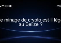 Le minage de crypto est-il légal au Belize ?
