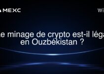 Le minage de crypto est-il légal en Ouzbékistan ?
