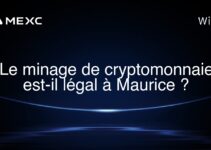 Le minage de cryptomonnaie est-il légal à Maurice ?