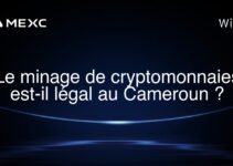 Le minage de cryptomonnaies est-il légal au Cameroun ?