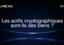 Les actifs cryptographiques sont-ils des biens ?