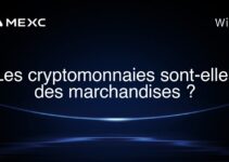 Les cryptomonnaies sont-elles des marchandises ?