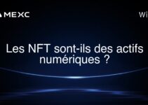 Les NFT sont-ils des actifs numériques ?
