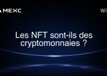Les NFT sont-ils des cryptomonnaies ?