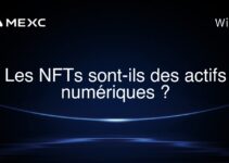 Les NFTs sont-ils des actifs numériques ?