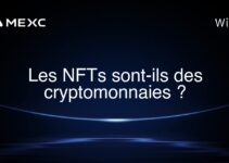 Les NFTs sont-ils des cryptomonnaies ?