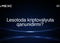 Lesotoda kriptovalyuta qanunidirmi?