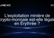 L’exploitation minière de crypto-monnaie est-elle légale en Érythrée ?