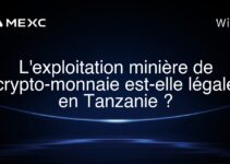 L’exploitation minière de crypto-monnaie est-elle légale en Tanzanie ?