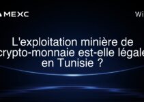 L’exploitation minière de crypto-monnaie est-elle légale en Tunisie ?