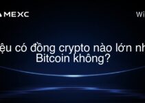 Liệu có đồng crypto nào lớn như Bitcoin không?