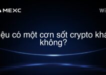 Liệu có một cơn sốt crypto khác không?