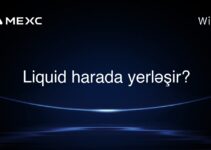 Liquid harada yerləşir?