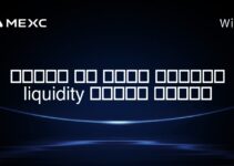 چگونه به توکن سولانا liquidity اضافه کنیم؟