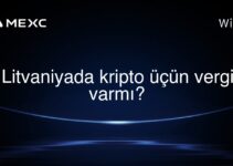 Litvaniyada kripto üçün vergi varmı?