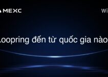Loopring đến từ quốc gia nào?