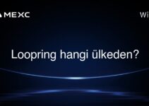 Loopring hangi ülkeden?