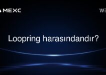 Loopring harasındandır?