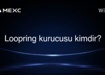 Loopring kurucusu kimdir?