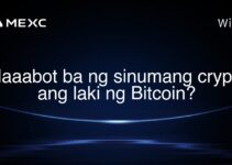 Maaabot ba ng sinumang crypto ang laki ng Bitcoin?