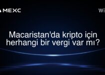 Macaristan’da kripto için herhangi bir vergi var mı?