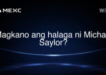 Magkano ang halaga ni Michael Saylor?