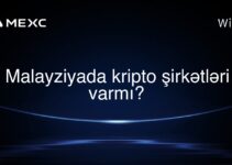 Malayziyada kripto şirkətləri varmı?