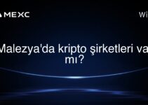 Malezya’da kripto şirketleri var mı?