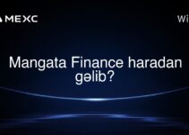 Mangata Finance haradan gəlib?