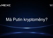 Má Putin kryptoměny?