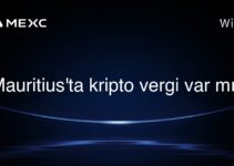 Mauritius’ta kripto vergi var mı?